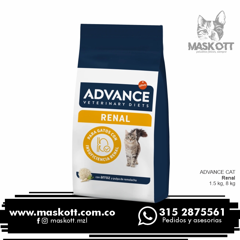 Advance-Cat-03-Renal