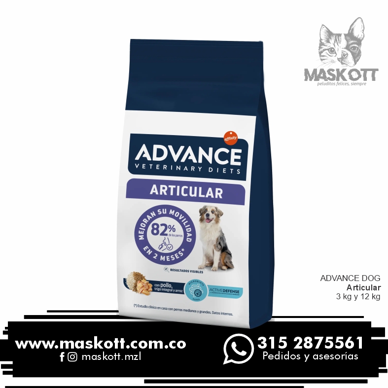 Advance-Dog-03-Senior