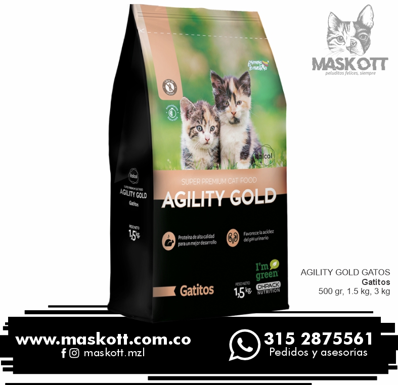 Agility-Gatos-02-Gatitos