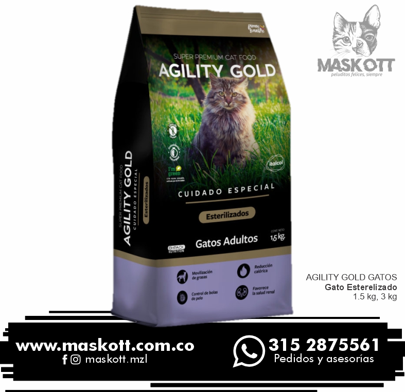 Agility-Gatos-03-Esterilizados