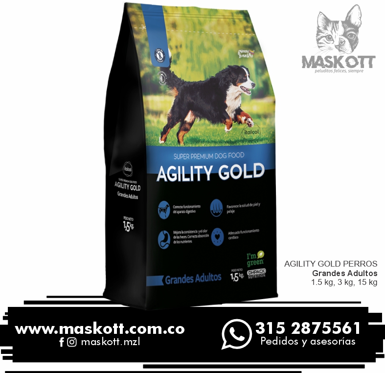 Agility-Perros-01-Grandes-Adultos