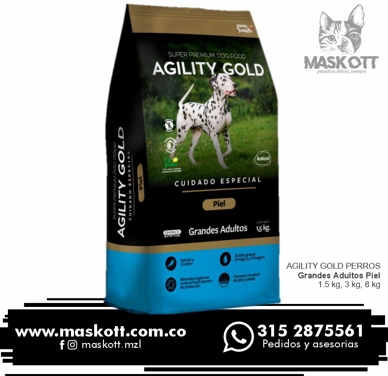 Agility-Perros-02-Grandes-Adultos-Piel