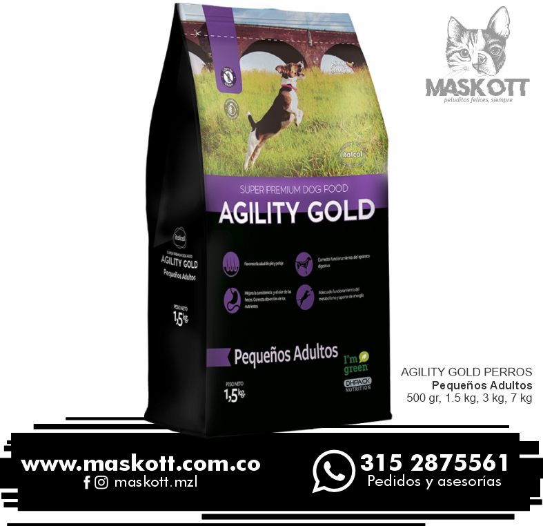 Agility-Perros-03-Pequeños-Adultos Agility-Perros-03-Pequeños-Adultos