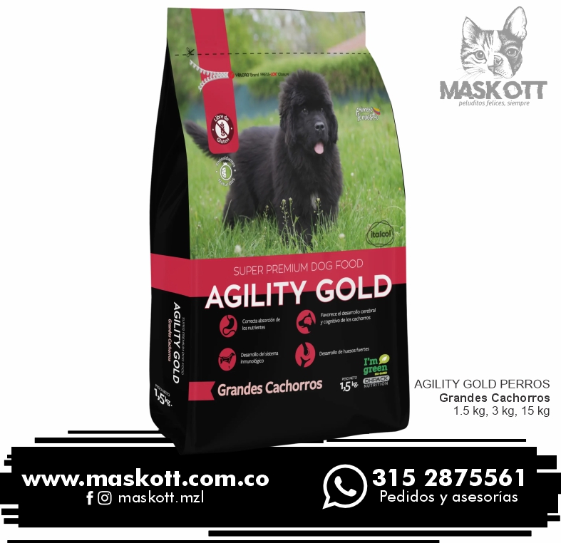 Agility-Perros-05-Grandes-Cachorros