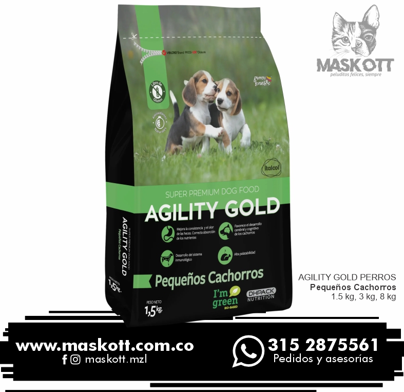 Agility-Perros-06-Pequeños-Cachorros Agility-Perros-06-Pequeños-Cachorros