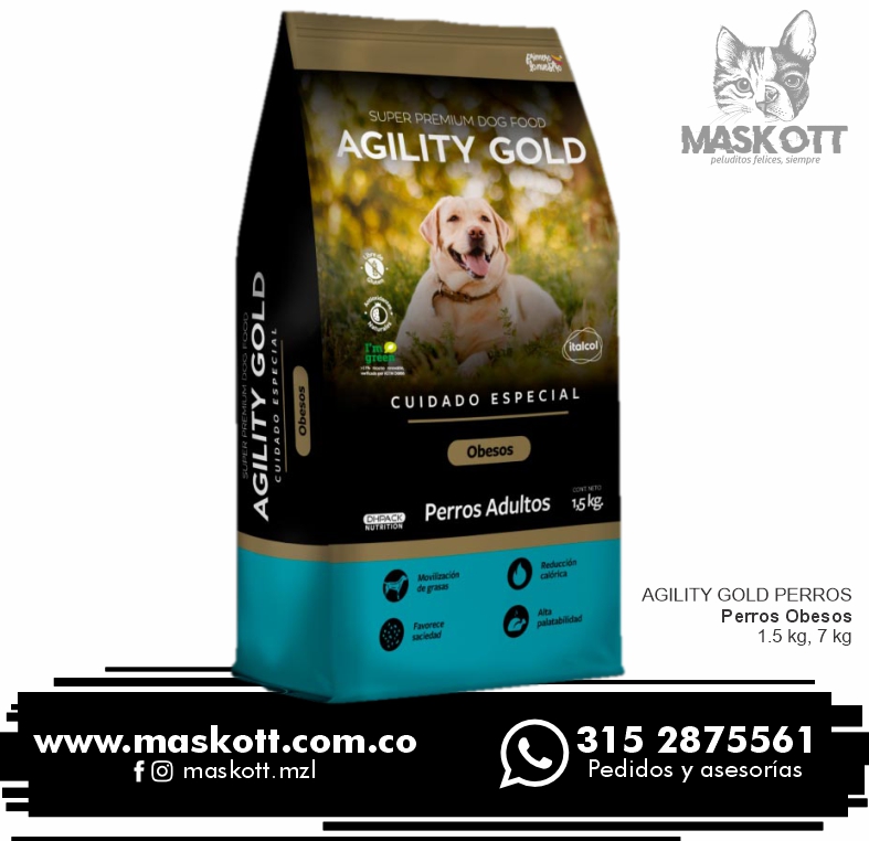 Agility-Perros-07-Obesos