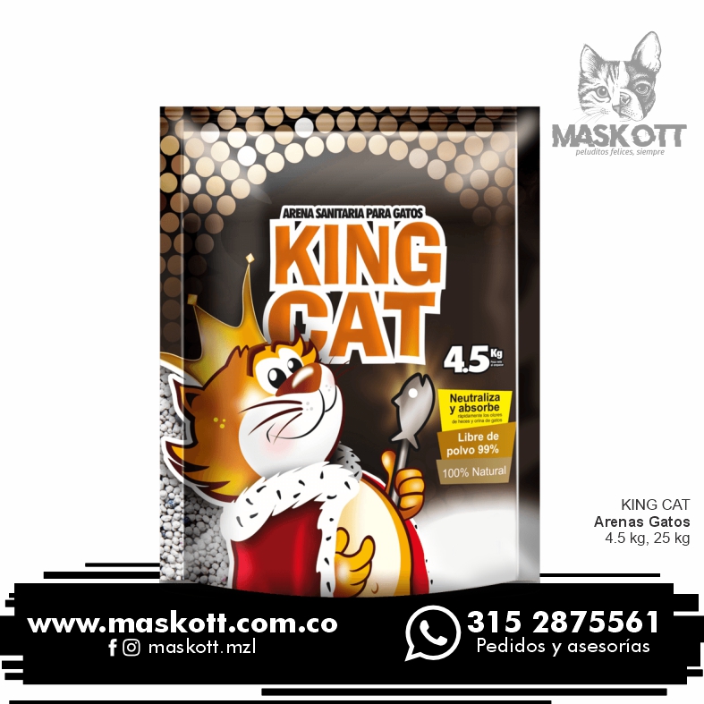 Arena-KitCats 01 Arena-KitCats 01