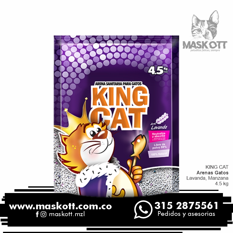 Arena-KitCats 02 Arena-KitCats 02