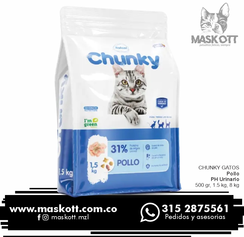 Chunky-Gatos-02-Po