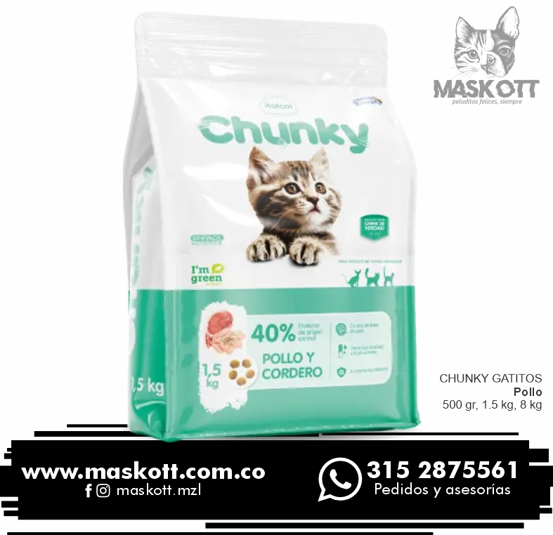 Chunky-Gatos-03-Gatitos