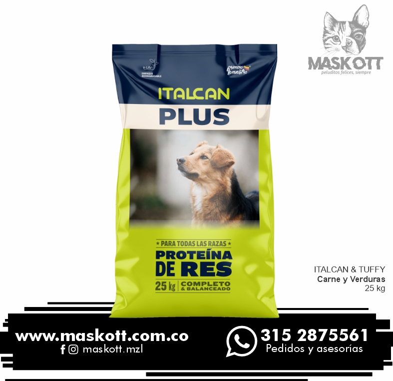 Italcan-Perros-01-Car