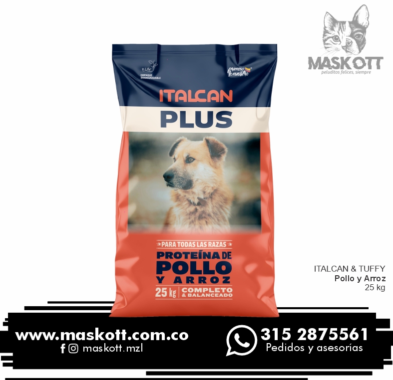 Italcan-Perros-01-Po