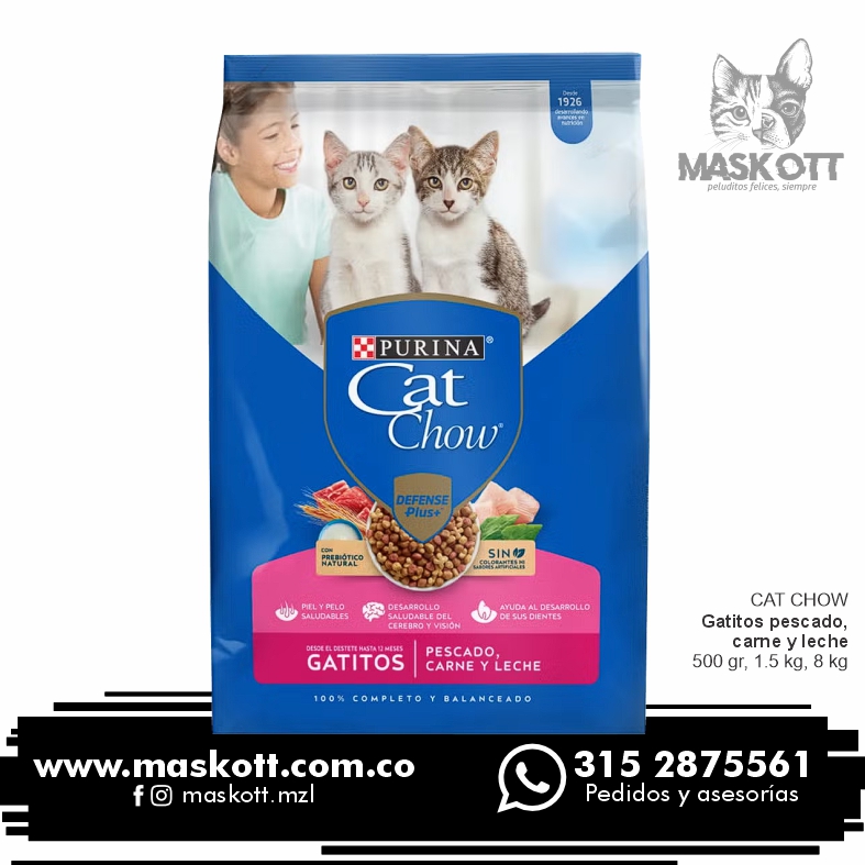 Purina-CatChow-01-gatitos