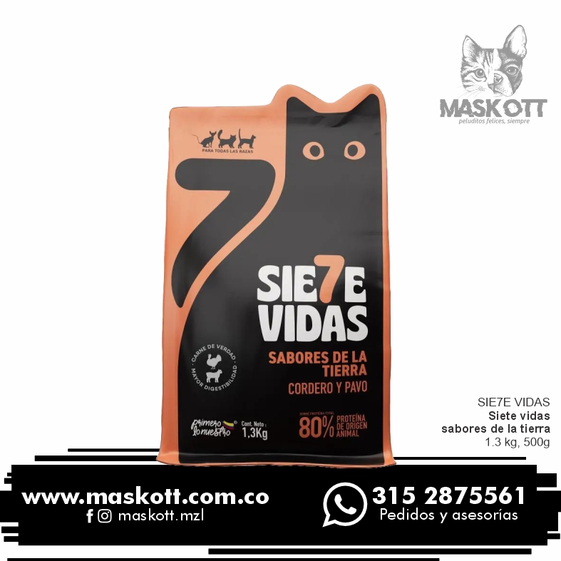 Sie7e-Vidas-01-Tierra